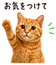 840412691