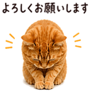 840412693