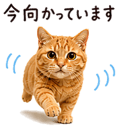 840412698