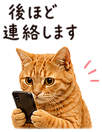 840412699