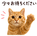 840412717