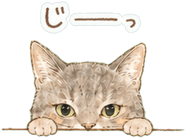 840412951