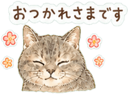 840412954