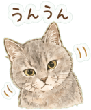 840412964