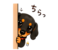 840413008