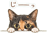 840413638
