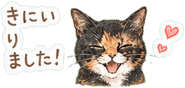 840413650