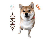 840413681