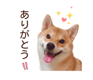 840413682