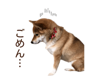 840413683