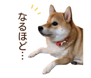 840413684