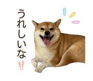 840413685