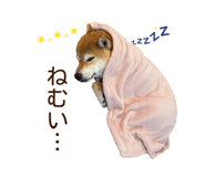 840413687
