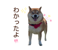 840413688
