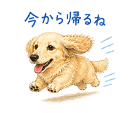 840413755