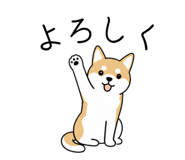 840414563
