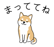 840414576