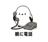 840414817