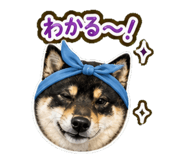 840414868
