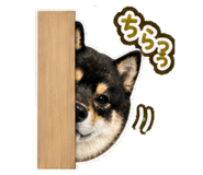 840414872