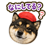 840414882