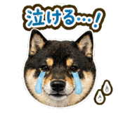 840414887