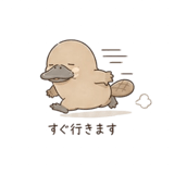 840415527