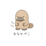 840415530