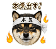 840415874