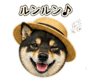 840415875