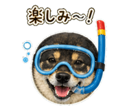 840415880