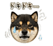 840415882