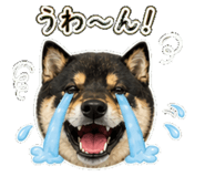 840415886