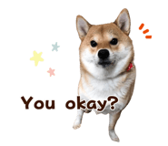 840415993