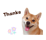 840415994