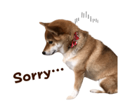 840415995