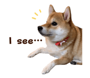 840415996