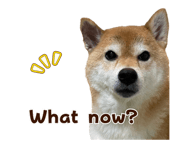 840415998