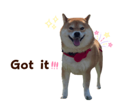 840416000