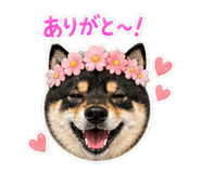 840416090