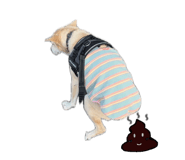 840417171