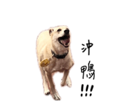 840417174