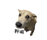 840417180