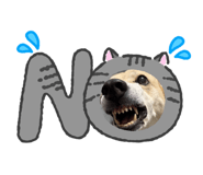 840417182