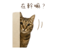 840418104