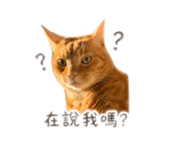 840418125
