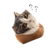 840418383