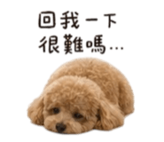 840418498
