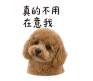 840418513