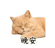 840418546